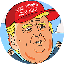 TRUMP IP (IP) coin