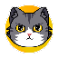 CATCOIN (CATS) coin