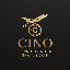 Private Aviation Finance Token (CINO) coin