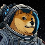 DOGE-1 Satellite (DOGE-1) coin