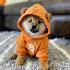 Dog (Bitcoin) (DOG) coin