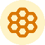 Honey (HONEY) coin