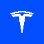 Tesla (TSLA) coin