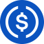 USDC (USDC) coin