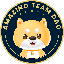 AmazingTeamDAO (AMAZINGTEAM) coin