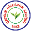 Rizespor Token (RIZE) coin