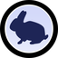 RabbitCoin (RBBT) coin